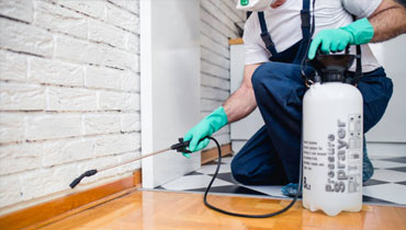 Pest Control Cleaning Service